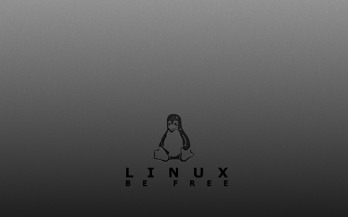 Linux服務器查看硬件配置的方法